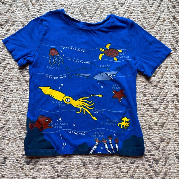 Old Navy Shirts & Tops 5t Boys Old Navy Graphic Tee Poshmark